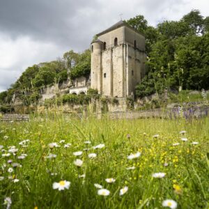 Site de l'Abbaye de Marmoutier à Tours au printemps