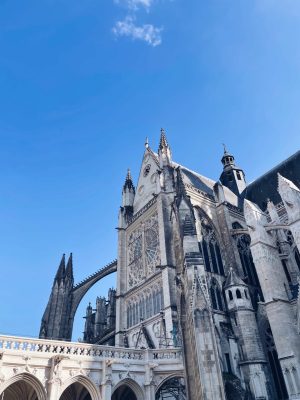 C97D3D3E-3CAC-4998-A350-DE53BEAC8004