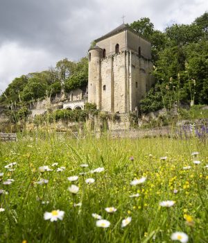 Site de l'Abbaye de Marmoutier à Tours au printemps
